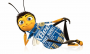 weatherbox:bumblebee:teambumblebeev2.png